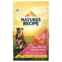 Nature's Recipe Dog Food, Grain Free, Salmon, Sweet Potato & Pumpkin Recipe, 24 Pound