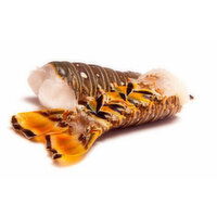 Cub Lobster Tails, Warm Water, 10/12, 1 Pound