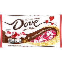 Dove DOVE PROMISES Love Notes Caramel & Milk Chocolate Valentine's Day, 7.94 Oz Gift Bag, 7.94 Ounce