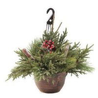 Cub Premium Hanging Basket, 1 Each