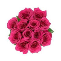 Cub Dozen Pink Roses, 1 Each