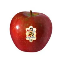 Produce Apple, Sugarbee, 0.5 Pound