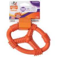 Nylabone Essentials Dog Toy, Big Chicken Flavor, Medium, 1 Each