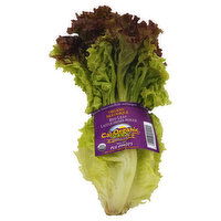 Produce Lettuce, Red Leaf, Organic, 1 Each