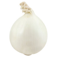 Produce White Onion