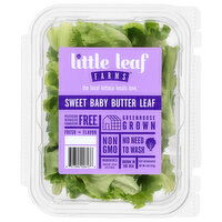 Little Leaf Farms Lettuce, Sweet Baby, Butter Leaf, 4 Ounce