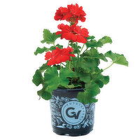 Cub Floral Pot Stuffer, 4.5", 1 Each