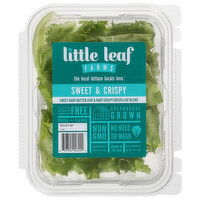 Little Leaf Farms Lettuce, Sweet & Crispy, 4 Ounce
