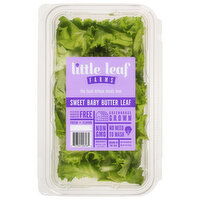 Little Leaf Farms Butter Leaf, Sweet, Baby, 8 Ounce