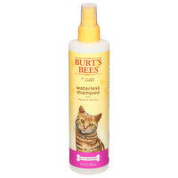 Burt's Bees Shampoo, Waterless, 10 Fluid ounce