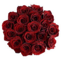 Cub 18 Stem Premium Euro Cut Roses, 1 Each