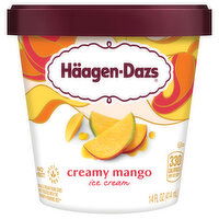 Haagen-Dazs Häagen-Dazs Mango Ice Cream, 14 fl Oz, 14 Fluid ounce