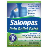 Salonpas Pain Relief Patch, Topical Analgesic, 20 Each