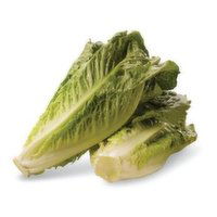 Fresh Produce Organic Romaine Hearts, 1 Each