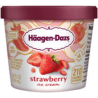 Haagen Dazs Strawberry Ice Cream, 3.6 Fluid ounce