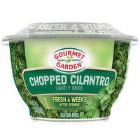 Gourmet Garden Cilantro Lightly Dried, 0.35 Ounce