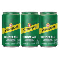 Schweppes Ginger Ale, 6 Pack, 6 Each