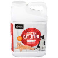 Essential Everyday Multi-Cat Scoopable Scented Cat Litter, 21 Pound