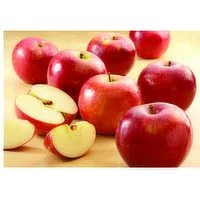 Produce Apple, Haralson, 1 Pound