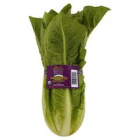 Produce Lettuce, Romaine, Organic, 1.25 Pound