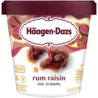 Haagen Dazs Rum Raisin Ice Cream, 14 Fluid ounce