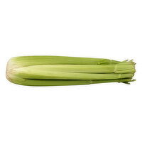 Produce Celery, 1 Each