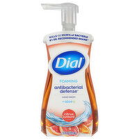 Dial Antibacterial Defense Foaming Citrus Sunburst Scent Hand Wash + Aloe, 7.5 Fluid ounce