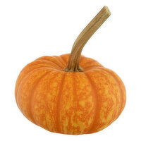 Bay Baby Produce Pumpkin, Sparkler, 1 Each