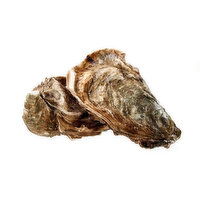 Cub Fresh Oysters, 1 Pound