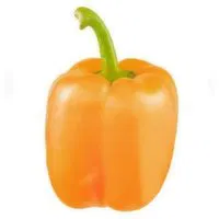 Fresh Orange Bell Pepper, 1 Each