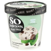 So Delicious Dairy Free Non-Dairy Mint Chip Frozen Dessert, 1 Pint