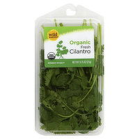 Wild Harvest Cilantro, Organic, Fresh, 0.75 Ounce