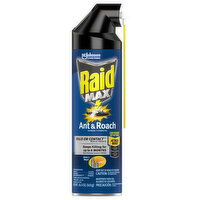 Raid Max Max Ant & Roach Spray, 14.5 Ounce