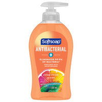 Softsoap Antibacterial Liquid Hand Soap Pump, 11.25 Fluid ounce