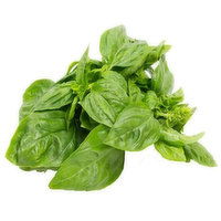 Urbanize Farm Fresh Basil, 0.5 Ounce