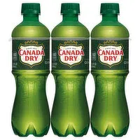 Canada Dry Ginger Ale, Caffeine Free, 6-Pack, 6 Each