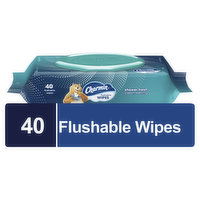Charmin Flushable Wipes Charmin Flushable Wipes, 40 Wipes Per Pack, 40 Each