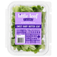 Little Leaf Farms Lettuce, Sweet Baby, Butter Leaf, 4 Ounce