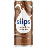 Siips Lowfat Chocolate Milk Single Serve, 8 Fluid ounce