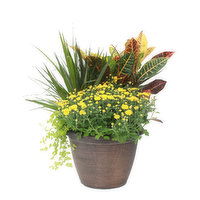 Cub Garden Fall Harvest Planter, 1 Each