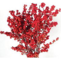 Cub 3 Stem Red Ilex, 1 Each