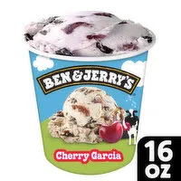 Ben & Jerry's Ice Cream Pint, 16 Ounce