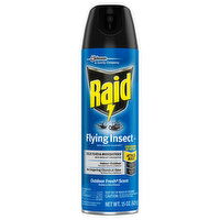 Raid Flying Insect Killer, Outdoor Fresh Scent, 15 Ounce