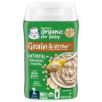 Gerber Organic for Baby Cereal, Oatmeal Banana, Grain & Grow, Sitter 2nd Foods, 8 Ounce