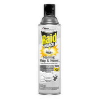 Raid Wasp & Hornet Killer, Foaming, 13 Ounce