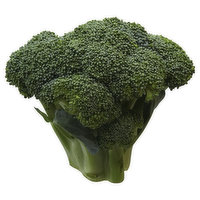 Produce Broccoli Crowns, 0.3 Pound