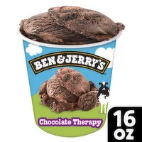 Ben & Jerry's Ice Cream Pint, 16 Ounce