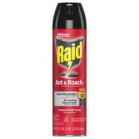 Raid Ant & Roach Killer 26, Outdoor Fresh Scent, 17.5 Ounce