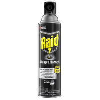 Raid Wasp & Hornet Killer 33, 17.5 Ounce