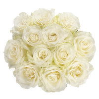 Cub Dozen White Roses, 1 Each